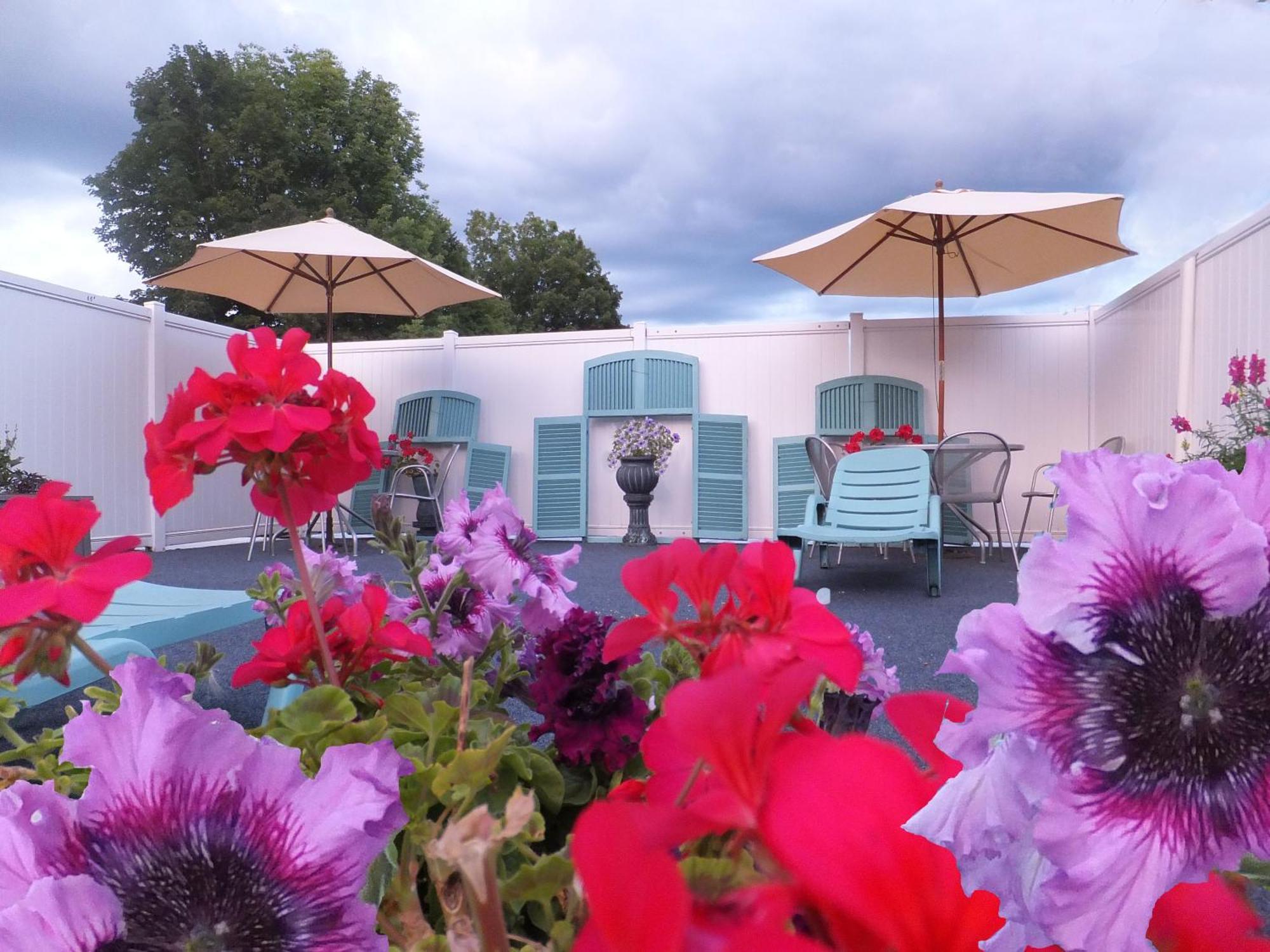 Windsor Motel Lake George Ngoại thất bức ảnh